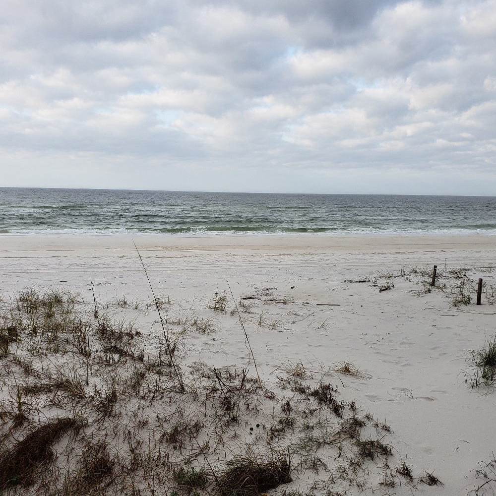 Meet your Posher, Plum